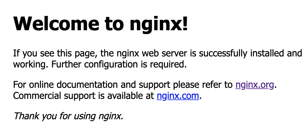 Nginx test pass screen